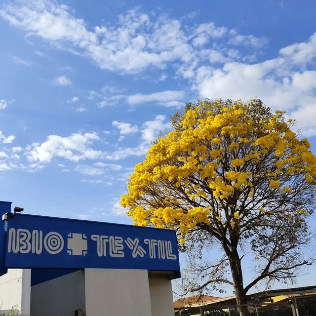 Fachada da Biotêxtil com um ipê amarelo em floração