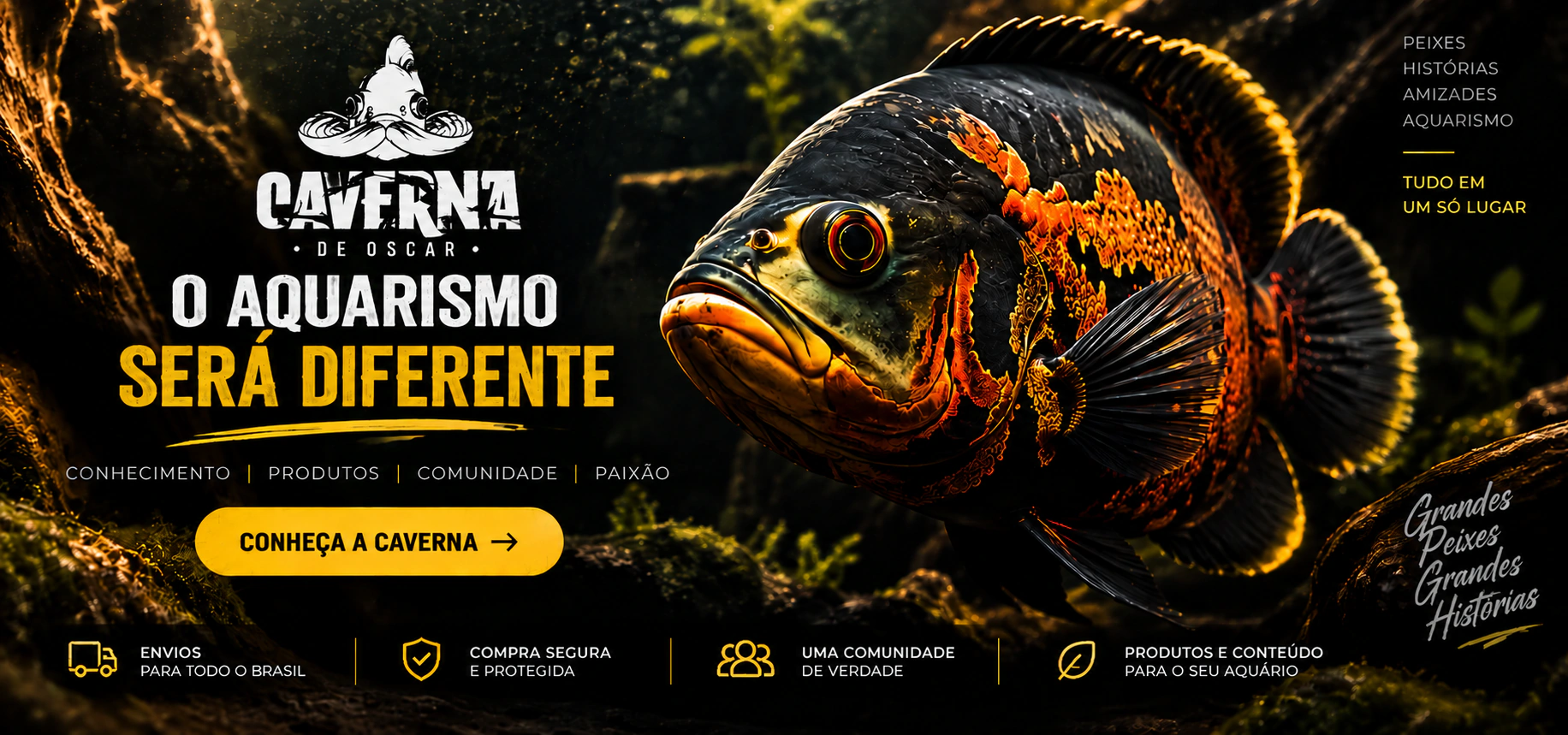 Caverna de Oscar. O aquarismo será diferente. Fotografia do peixe Oscar em preto, dourado e laranja.